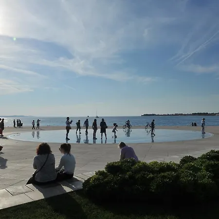 Purple Summer City Zadar