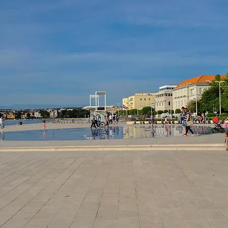Purple Summer * Zadar
