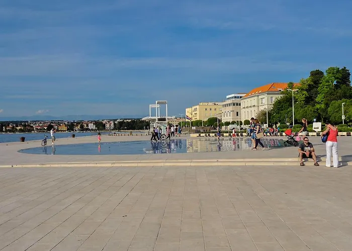 Purple Summer * Zadar