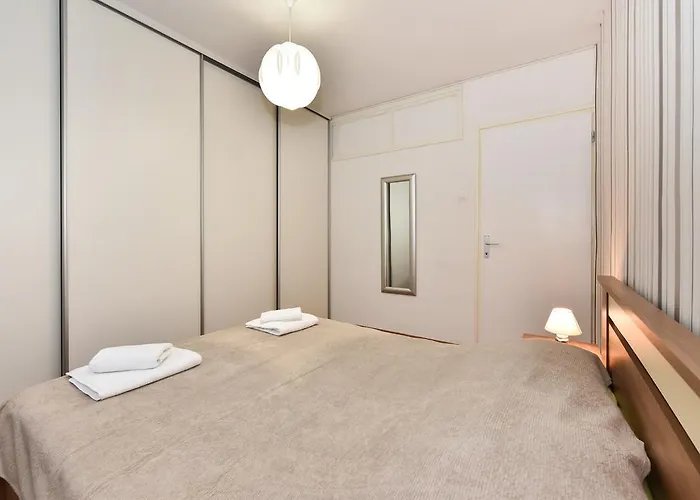 Purple Summer * Zadar